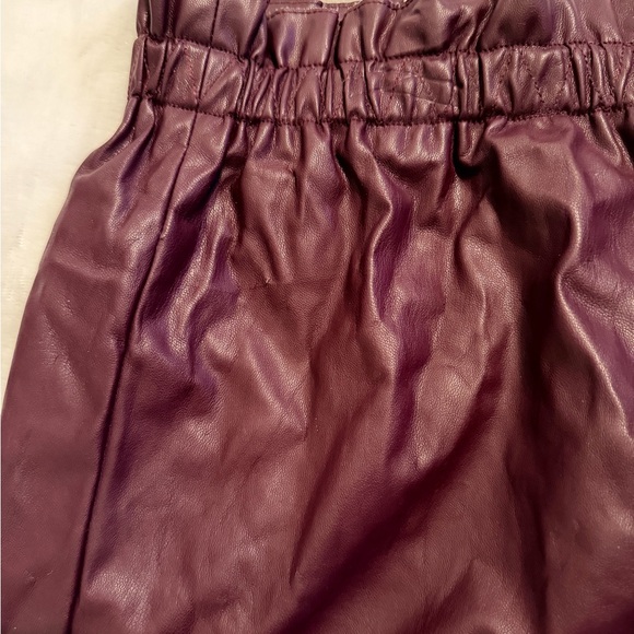The Loft Faux Leather Mini Skirt - Picture 5 of 9